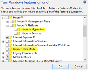 User Mode Windows Features