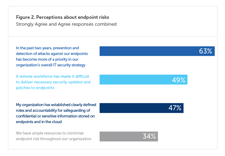 Graphic perceptions about endpoint risks.