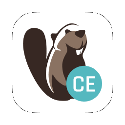 DBeaver CE x64 